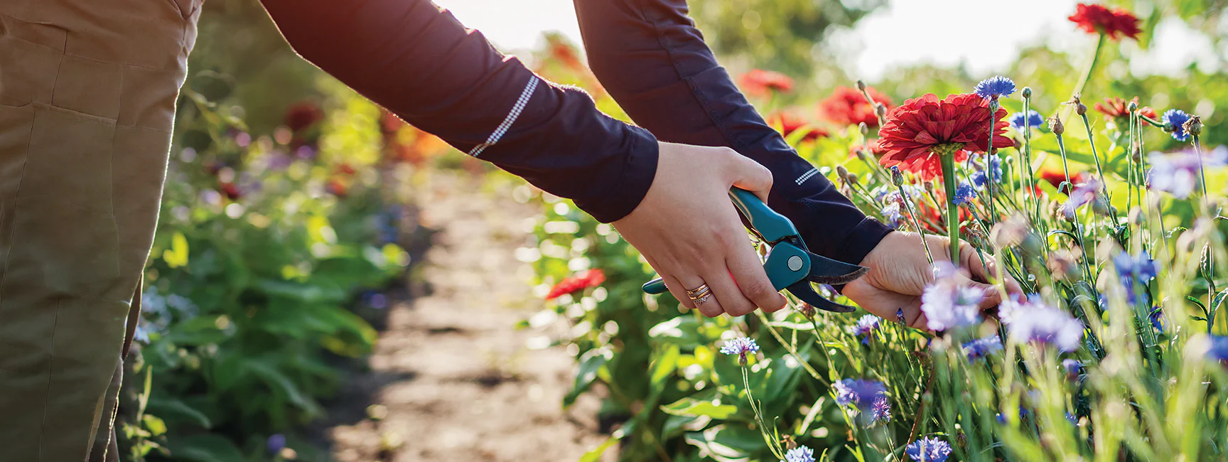 Sow the Seeds of Quality