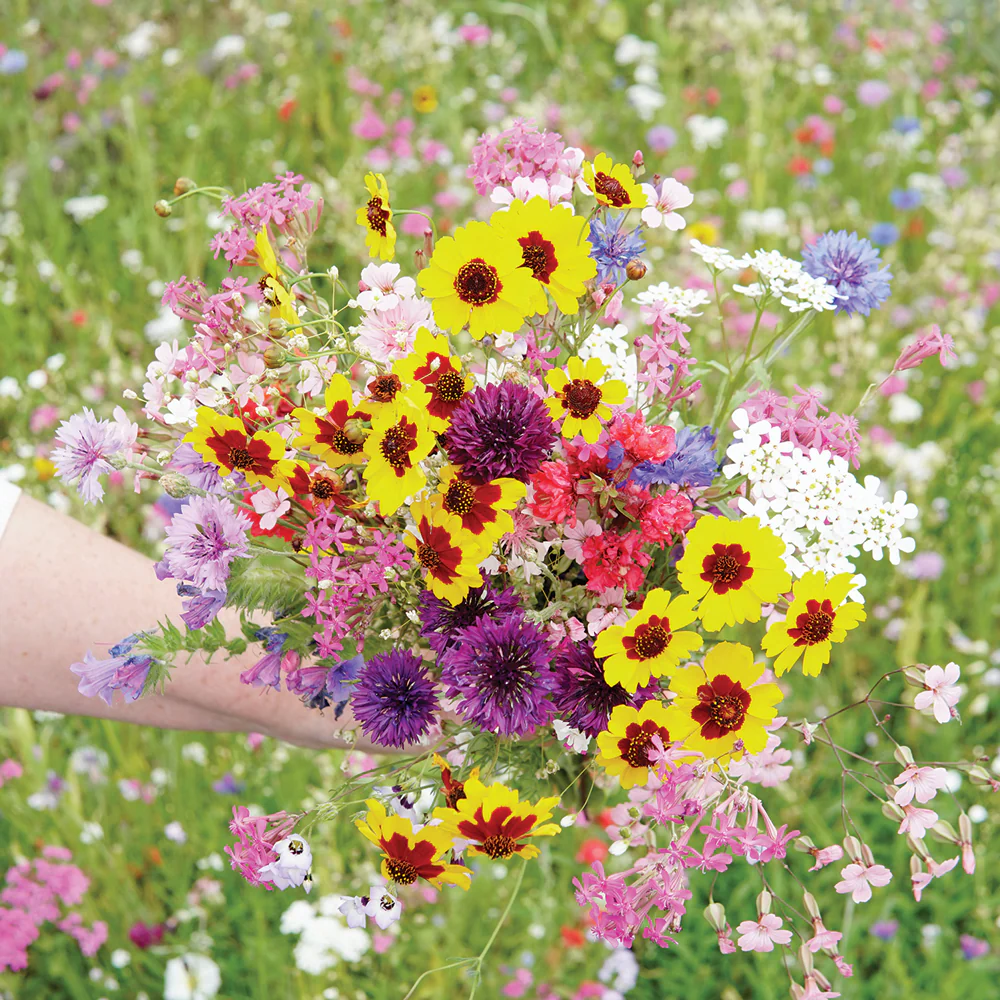 A BOUQUET EVERY DAY CUTTING GARDEN FLOWER MIX