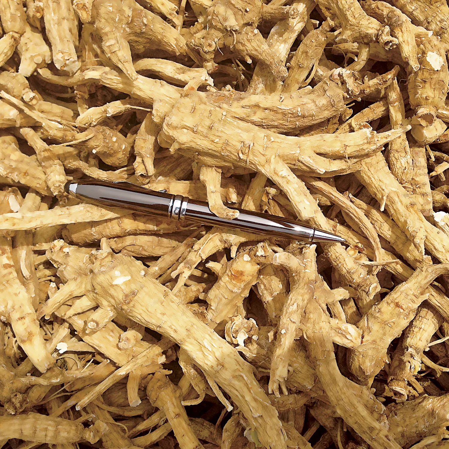 AMERICAN GINSENG - Image 2