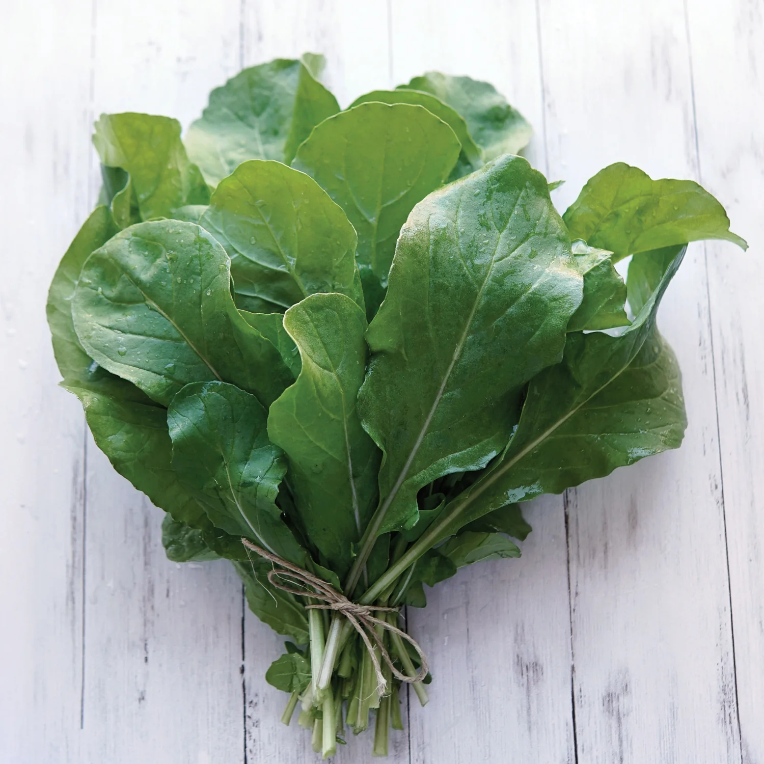 ROQUETTE