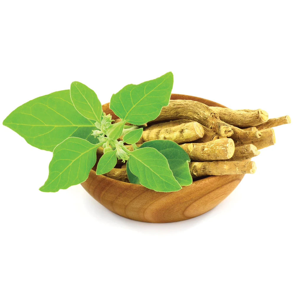ASHWAGANDHA - Image 2