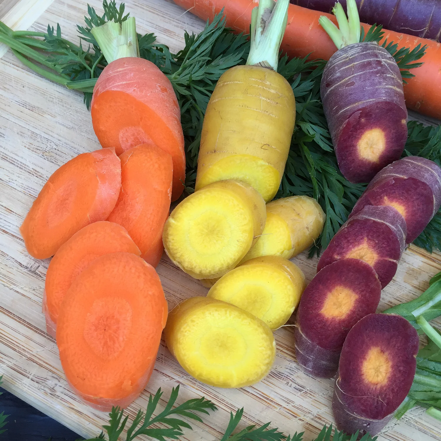 KALEIDOSCOPE CARROT BLEND