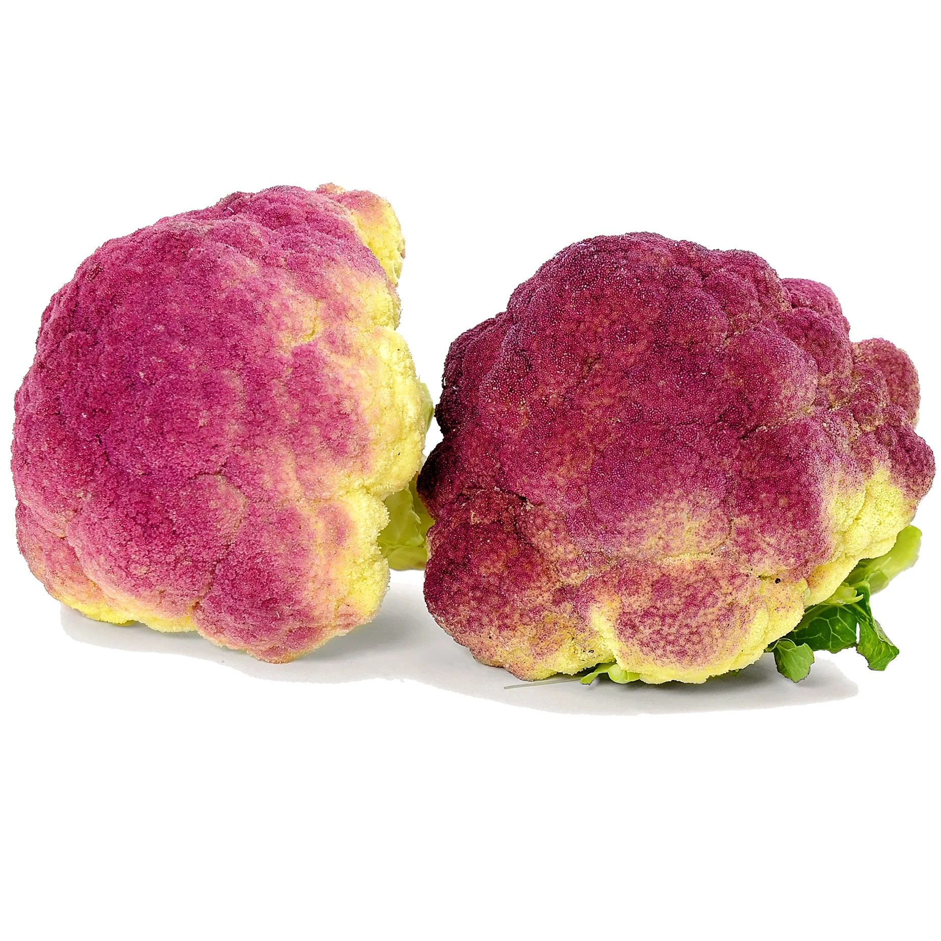 PURPLE OF SICILY - Image 2
