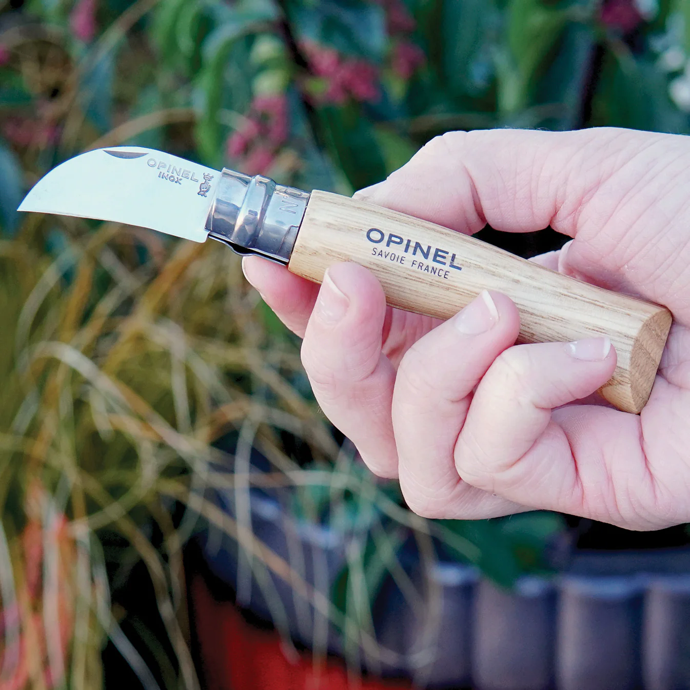 CHESTNUT & GARLIC KNIFE - Image 4