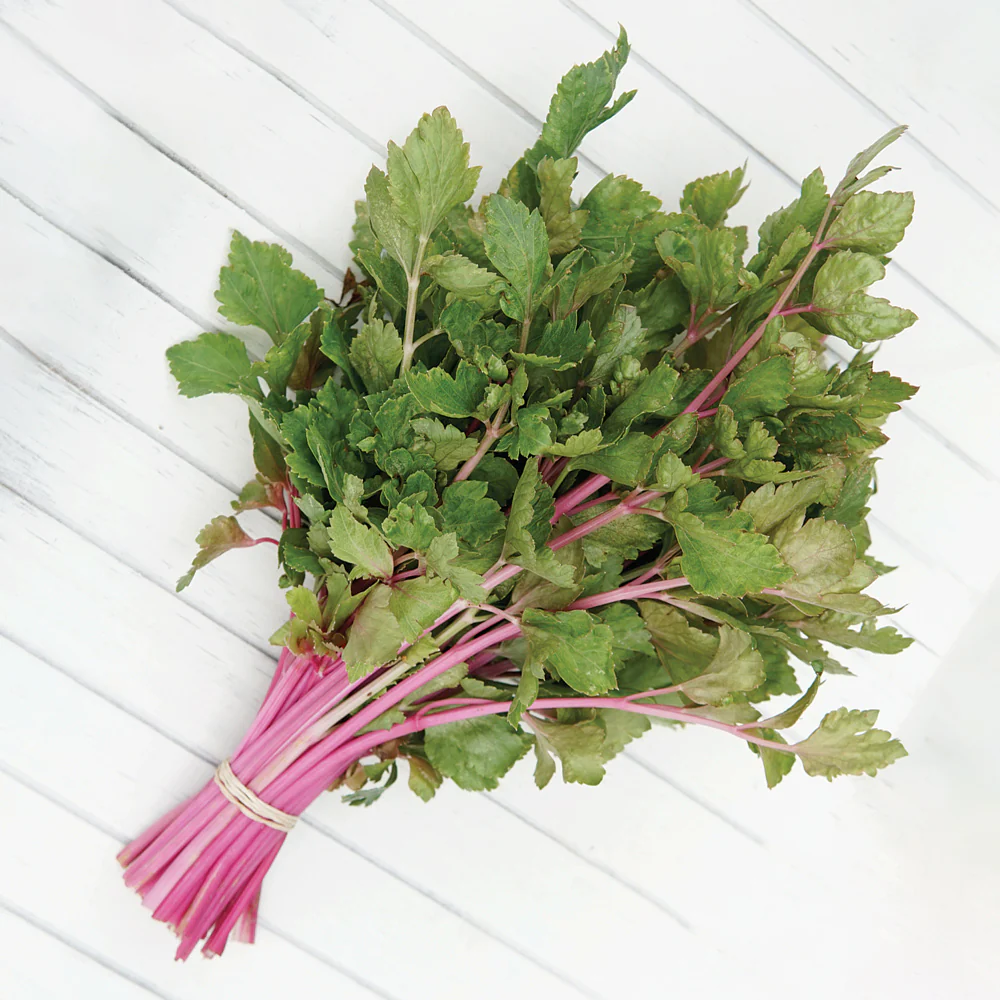 CHINESE PINK - Image 2