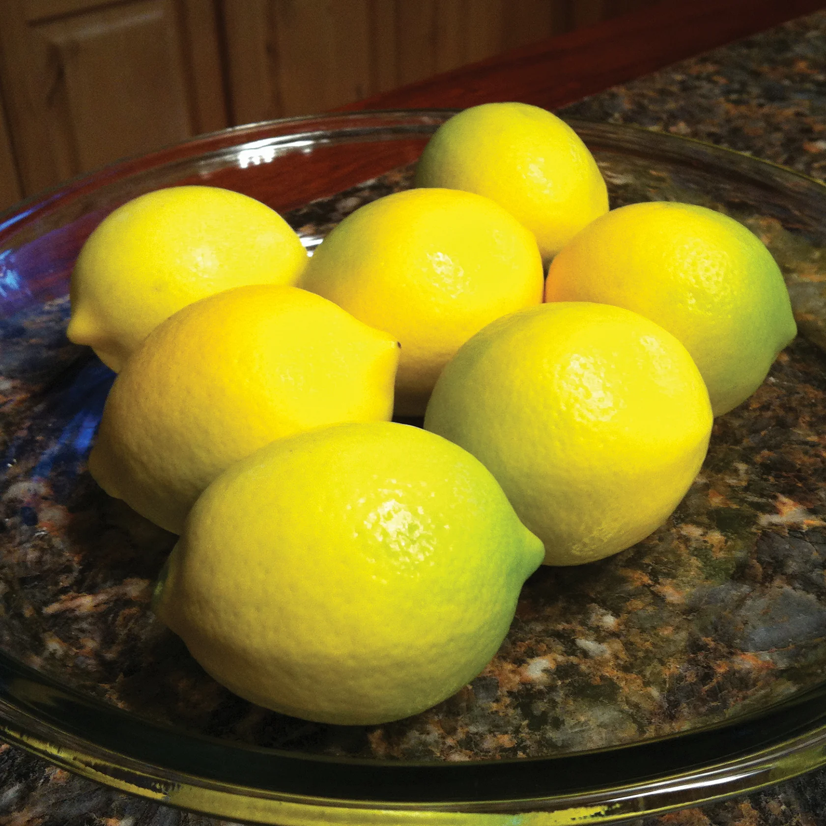 IMPROVED MEYER LEMON