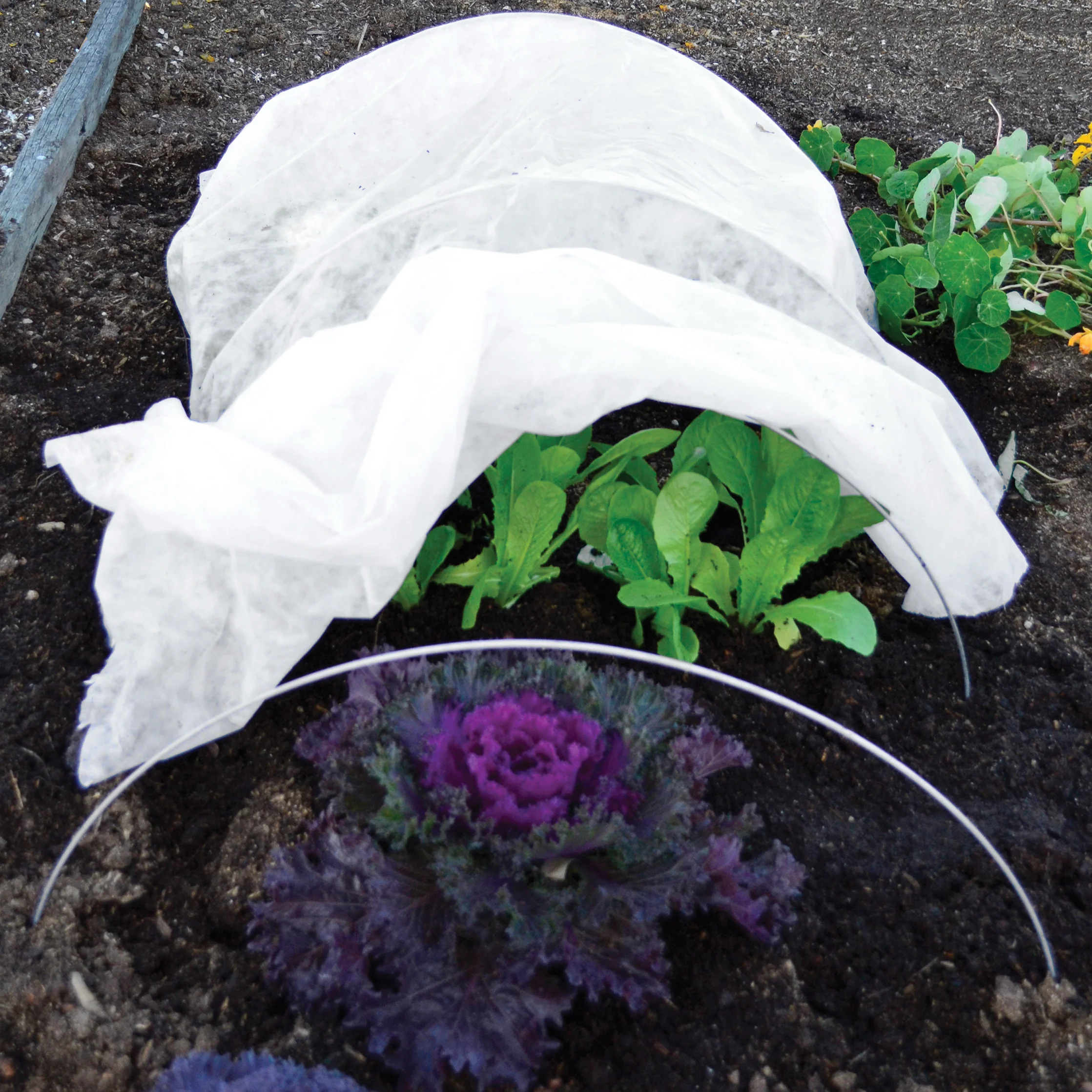 HOOP SUPPORT WIRES