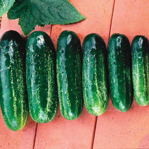 HOMEMADE PICKLES - Image 2
