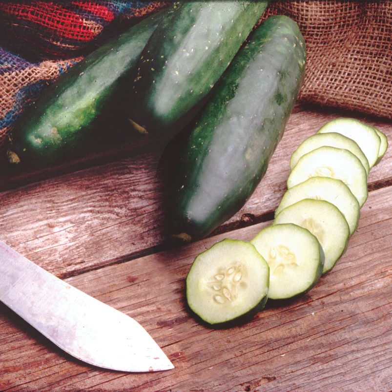 MARKETMORE 97 - Image 3
