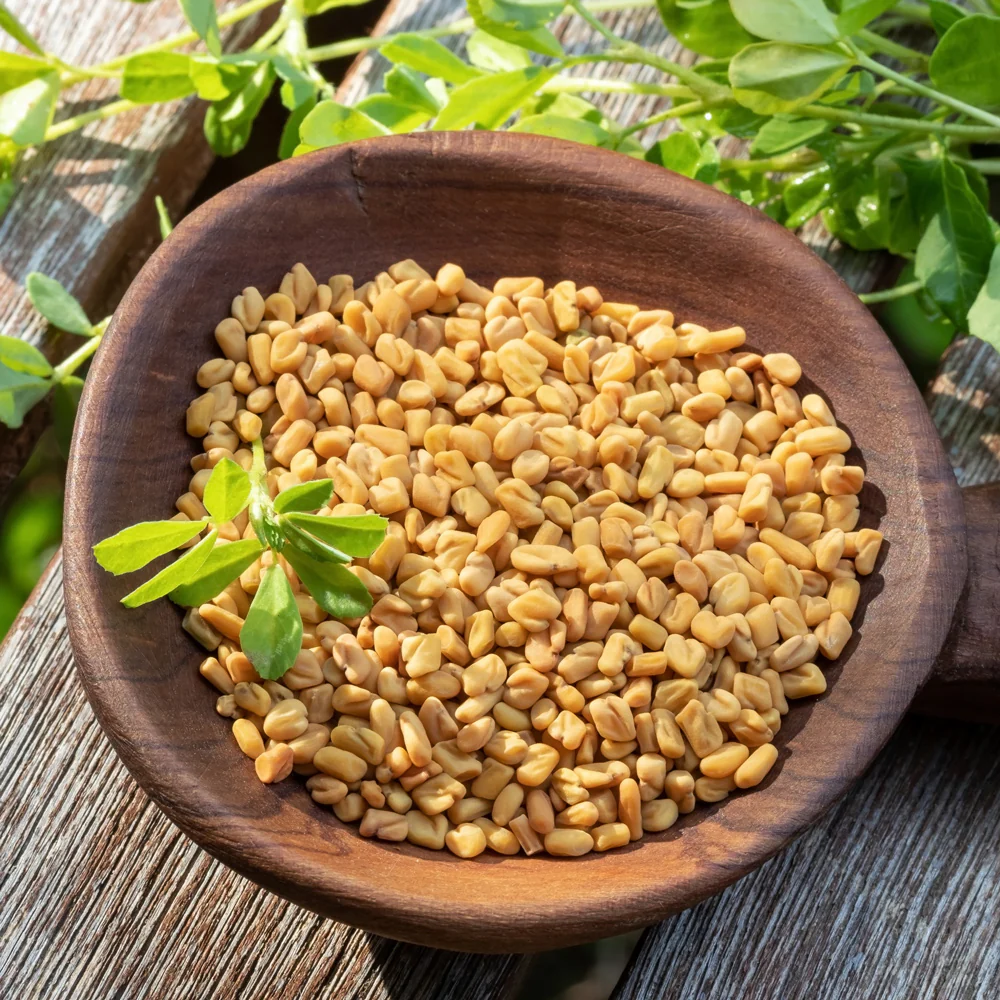 FENUGREEK