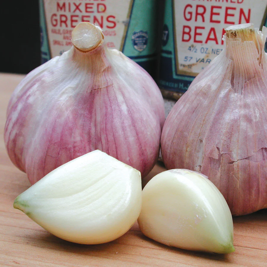 BAVARIAN PURPLE - Image 3