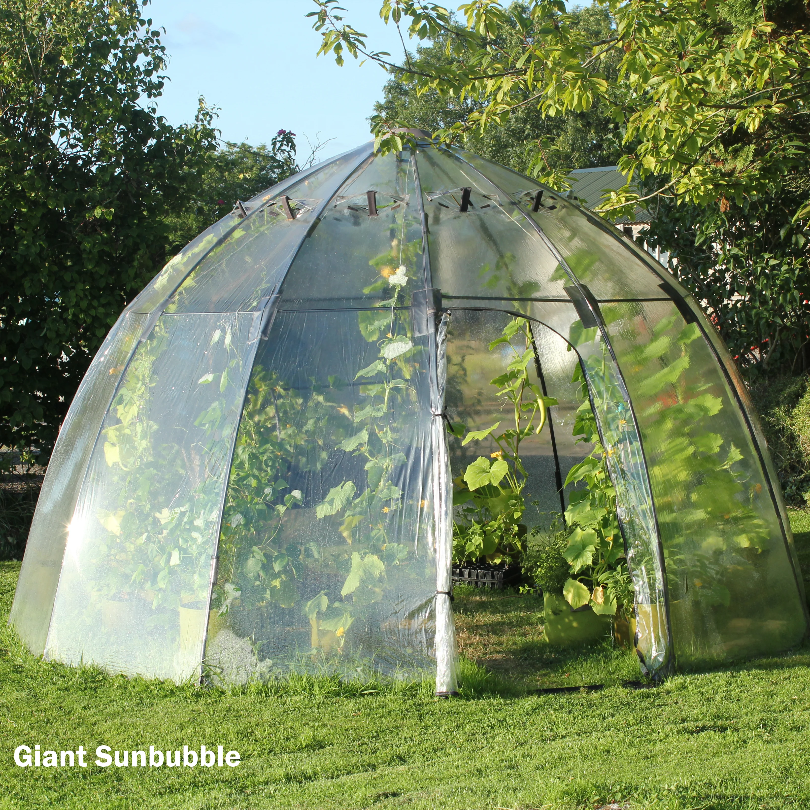 SUNBUBBLE - Image 2
