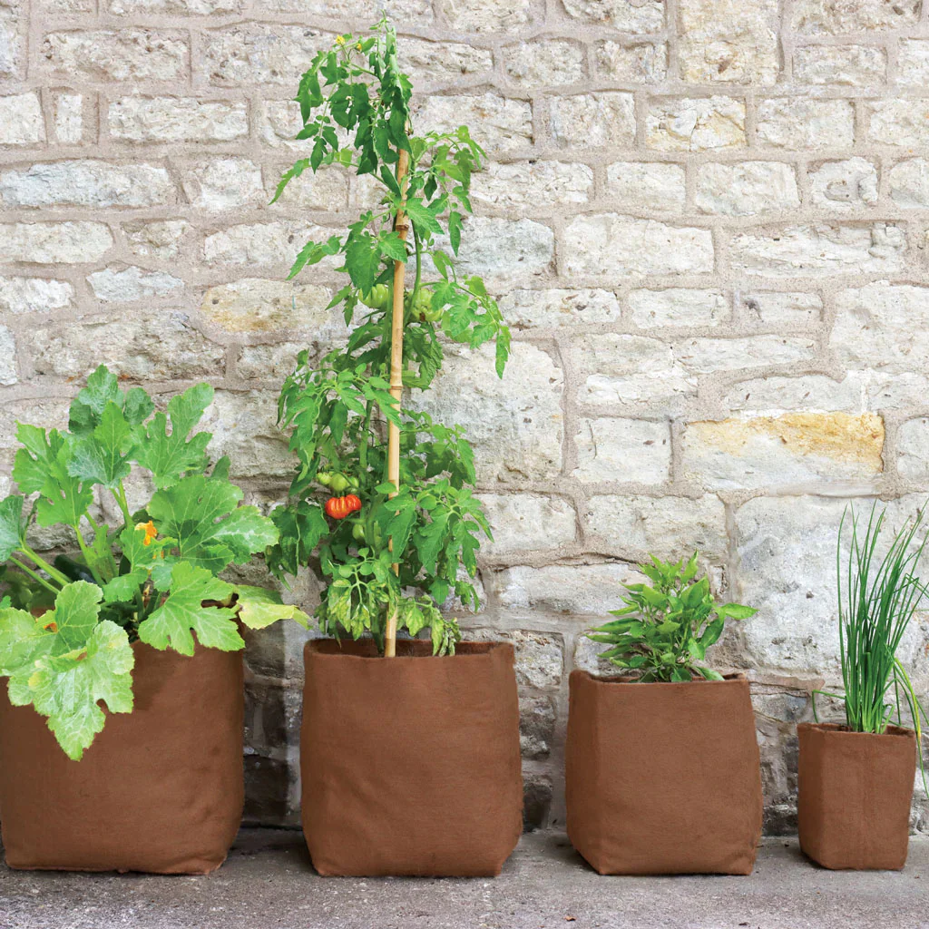 HEMP PLANTER