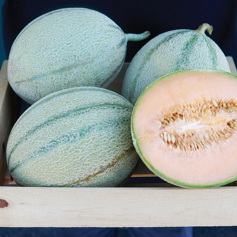 MELONADE