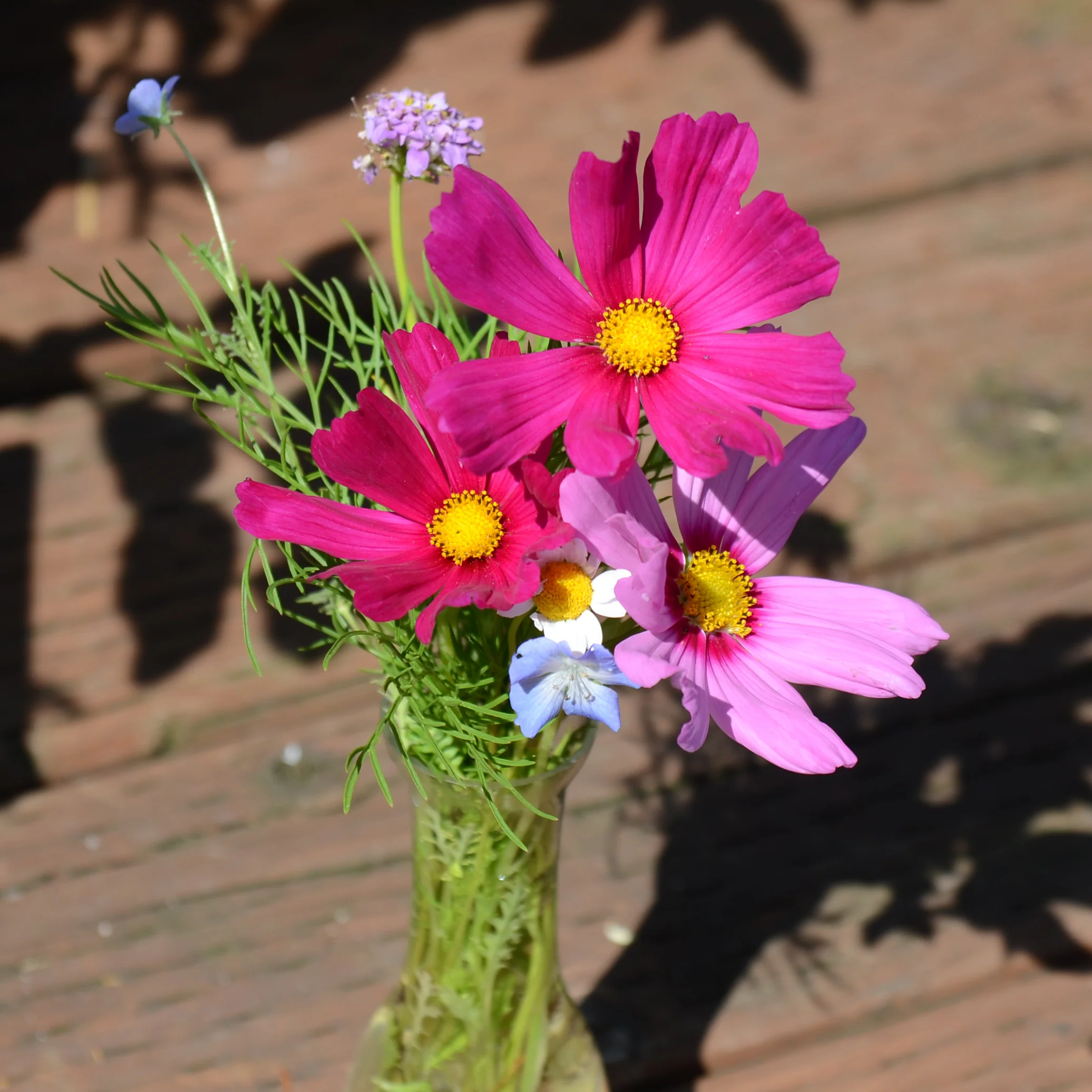 BENEFICIAL BUG MIX - Image 2