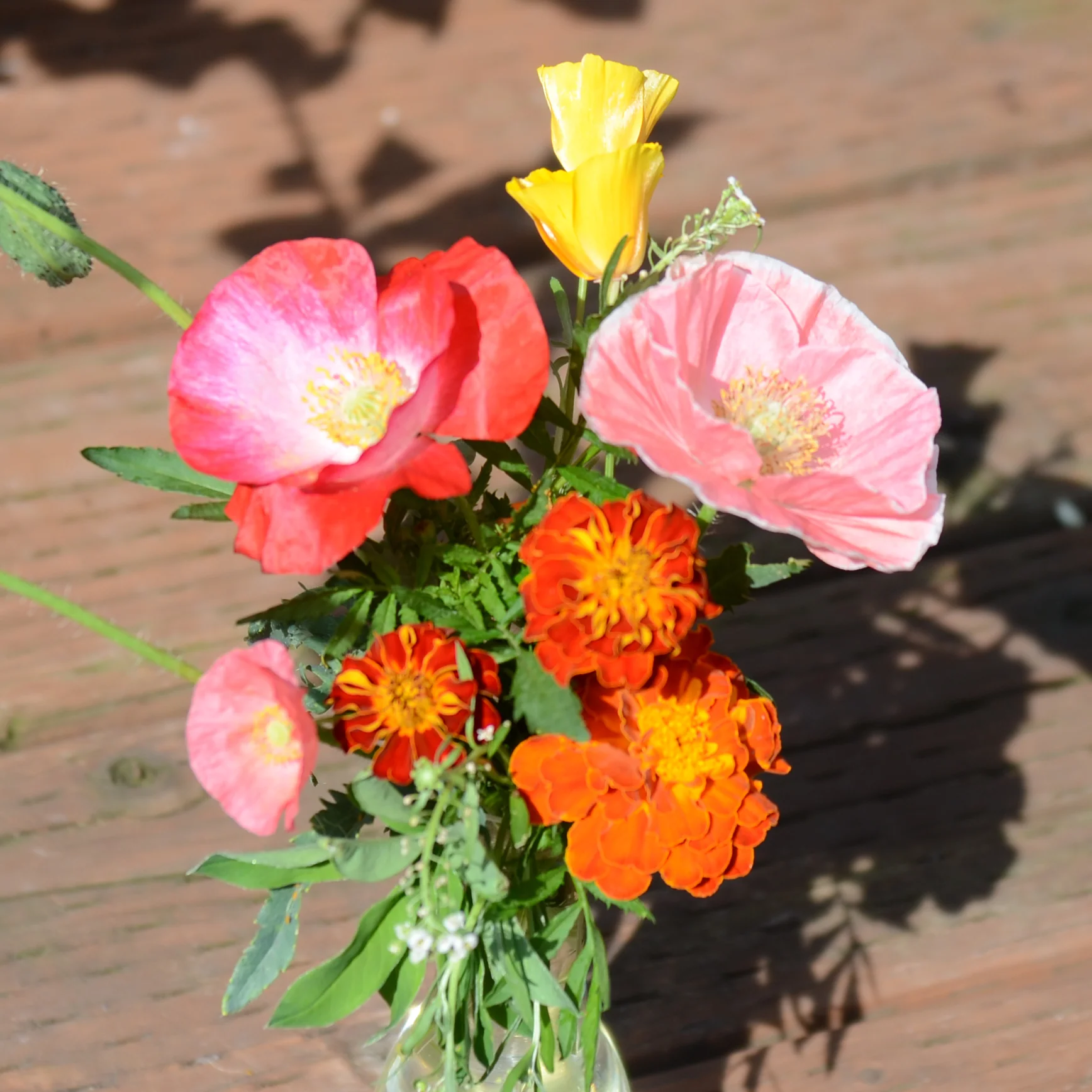 DEER RESISTANT MIX