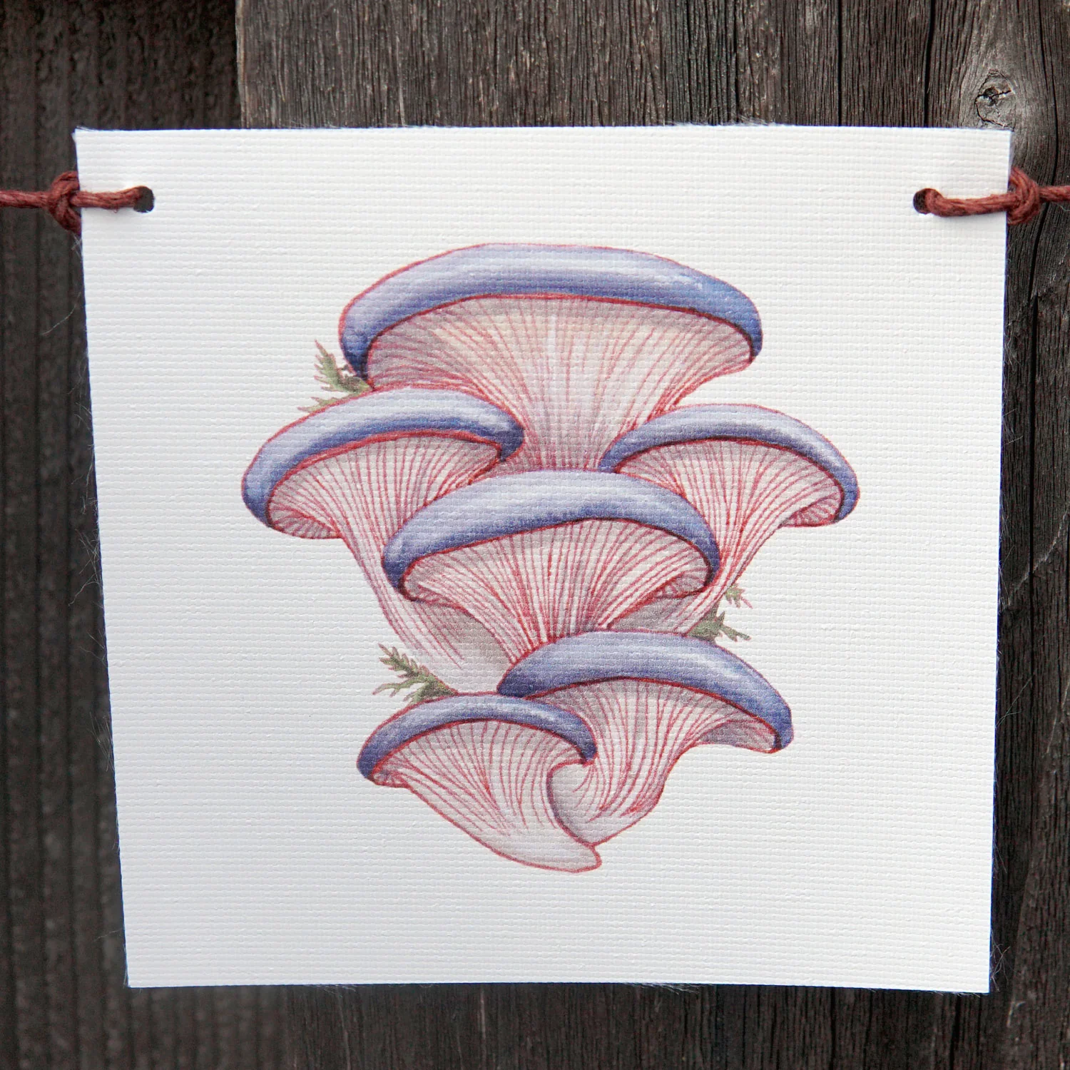 MUSHROOM FLAGS - Image 3