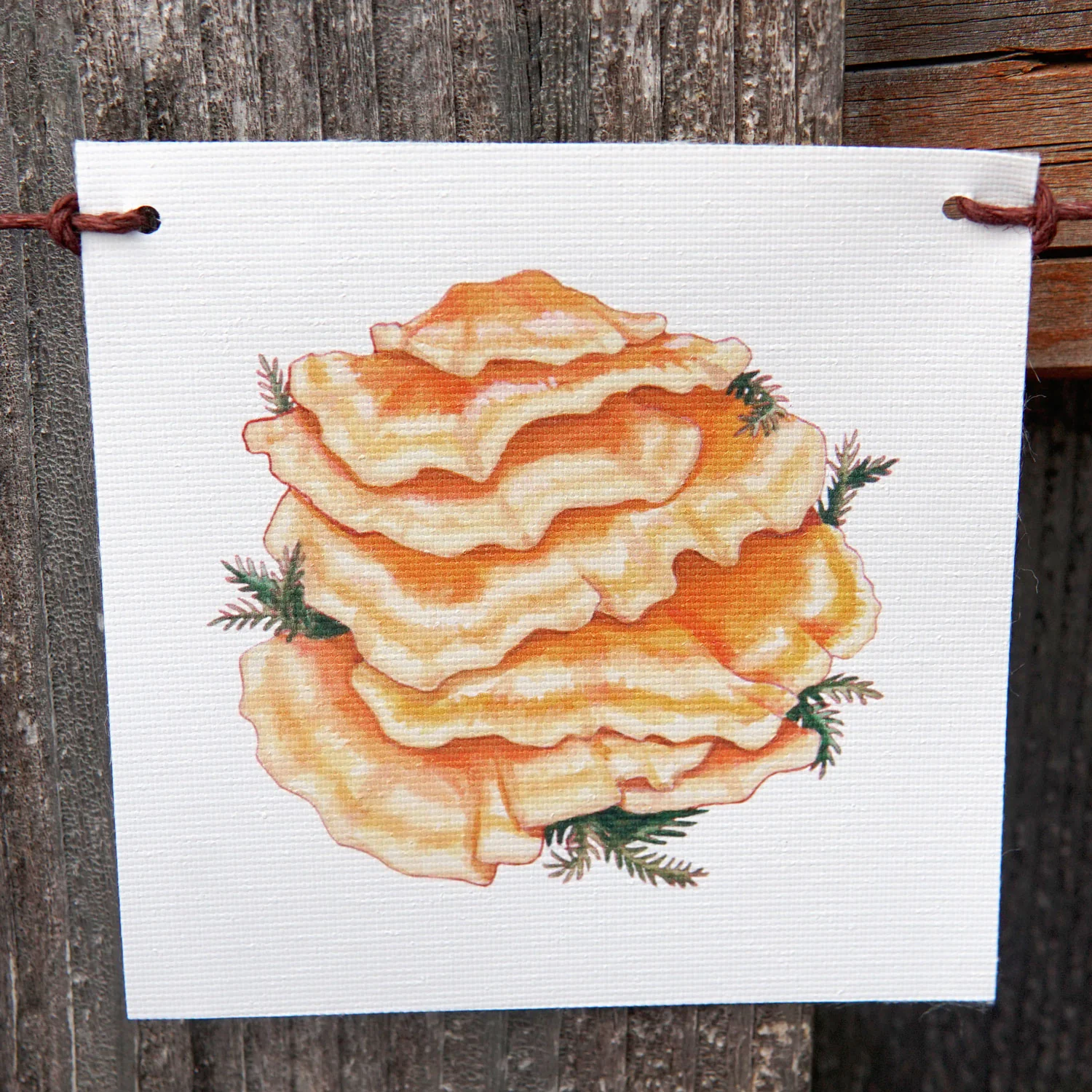MUSHROOM FLAGS - Image 4