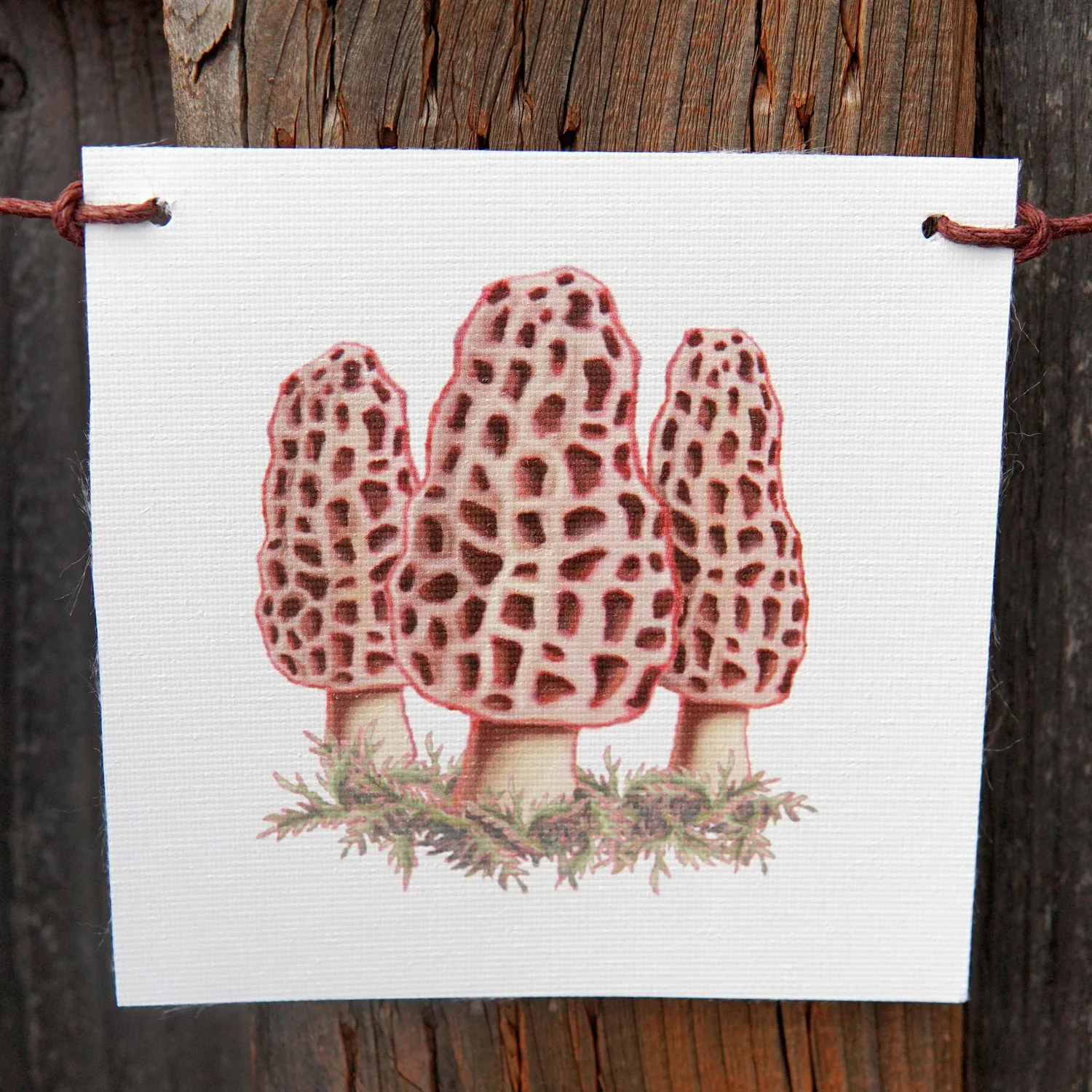 MUSHROOM FLAGS - Image 5