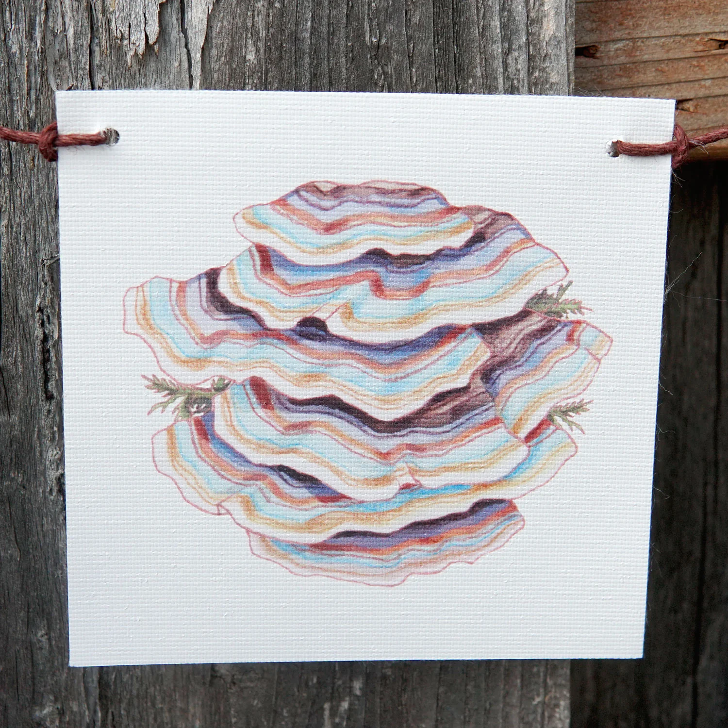 MUSHROOM FLAGS - Image 6