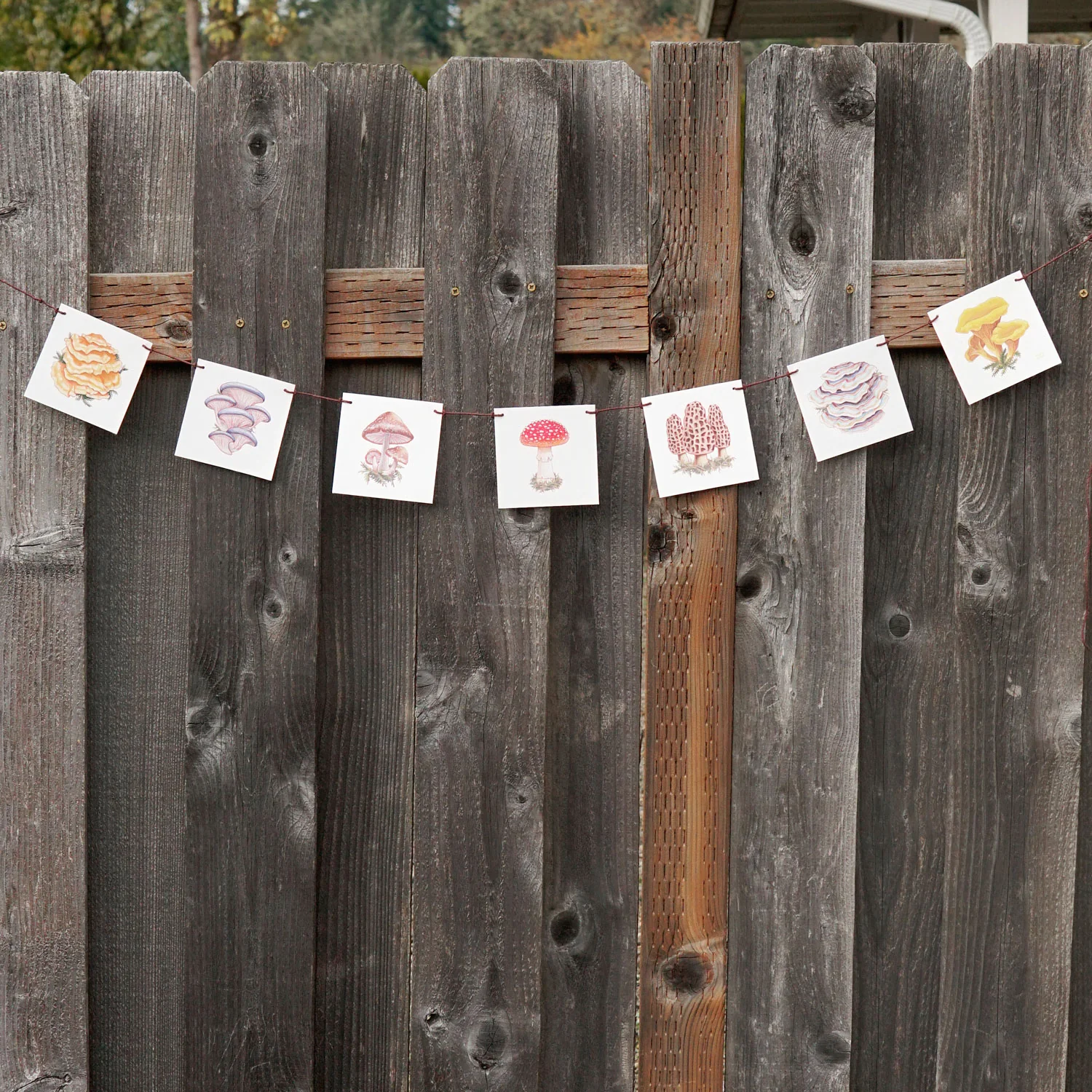 MUSHROOM FLAGS - Image 8