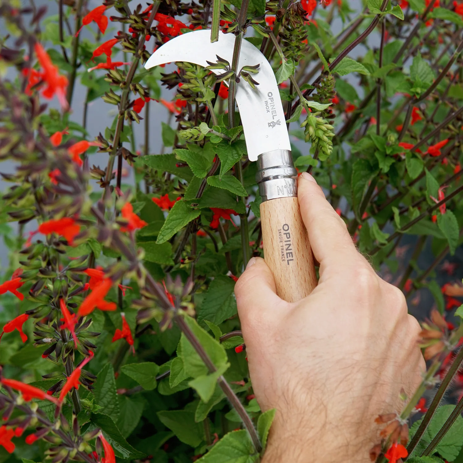 NO 10 BILLHOOK