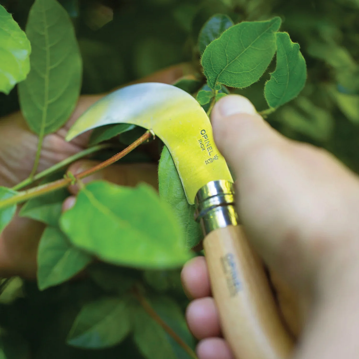 NO 10 BILLHOOK - Image 4