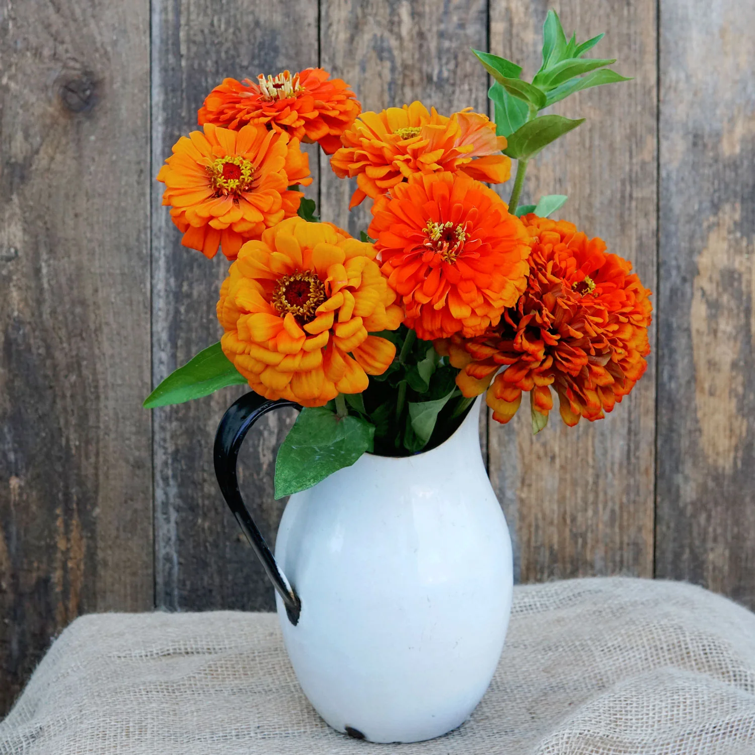 ORANGE KING - Image 3