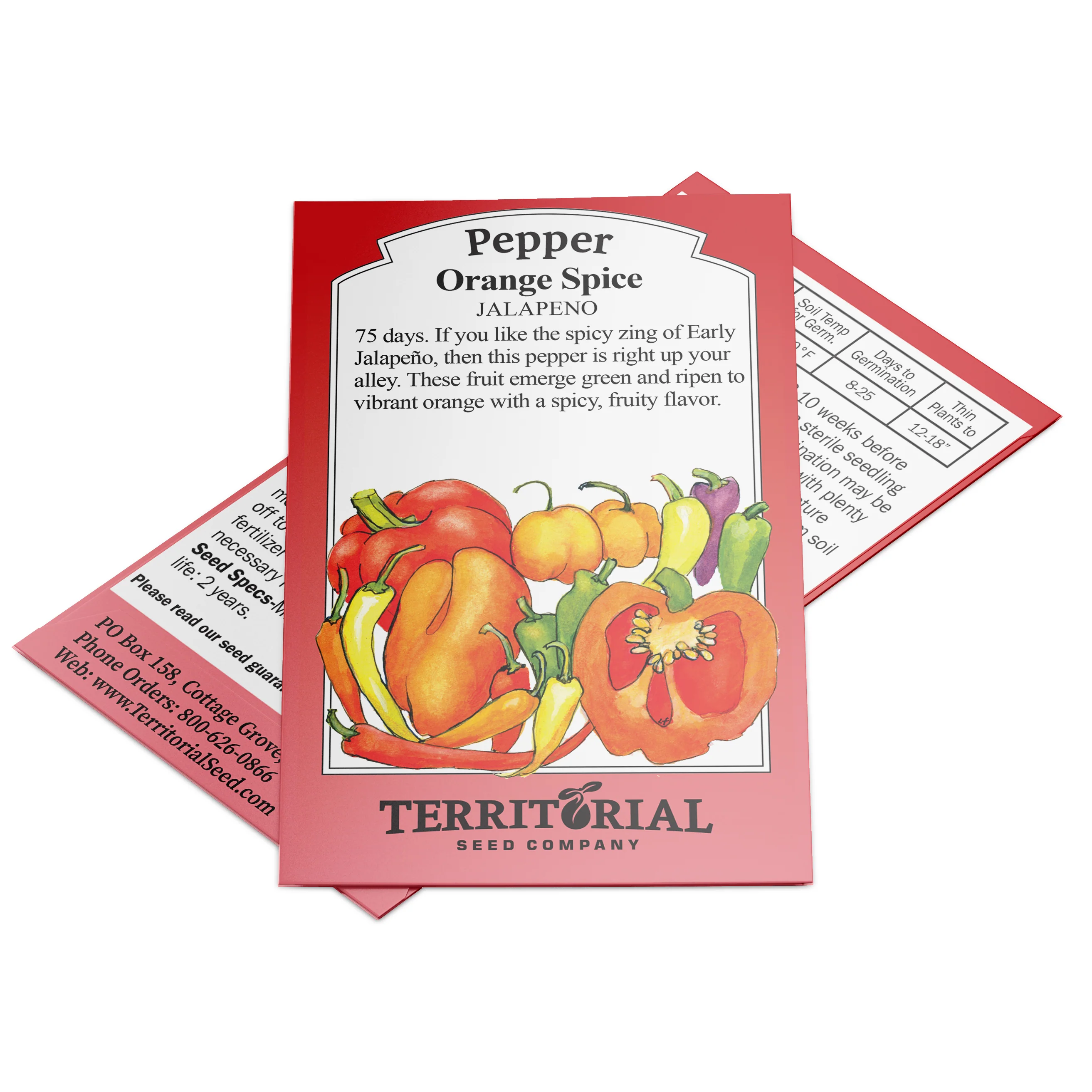 ORANGE SPICE - Image 2