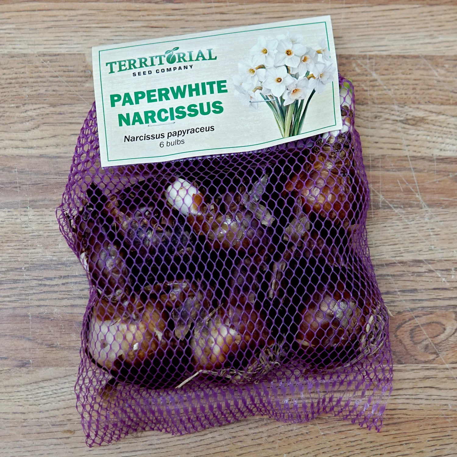 PAPERWHITE - Image 3