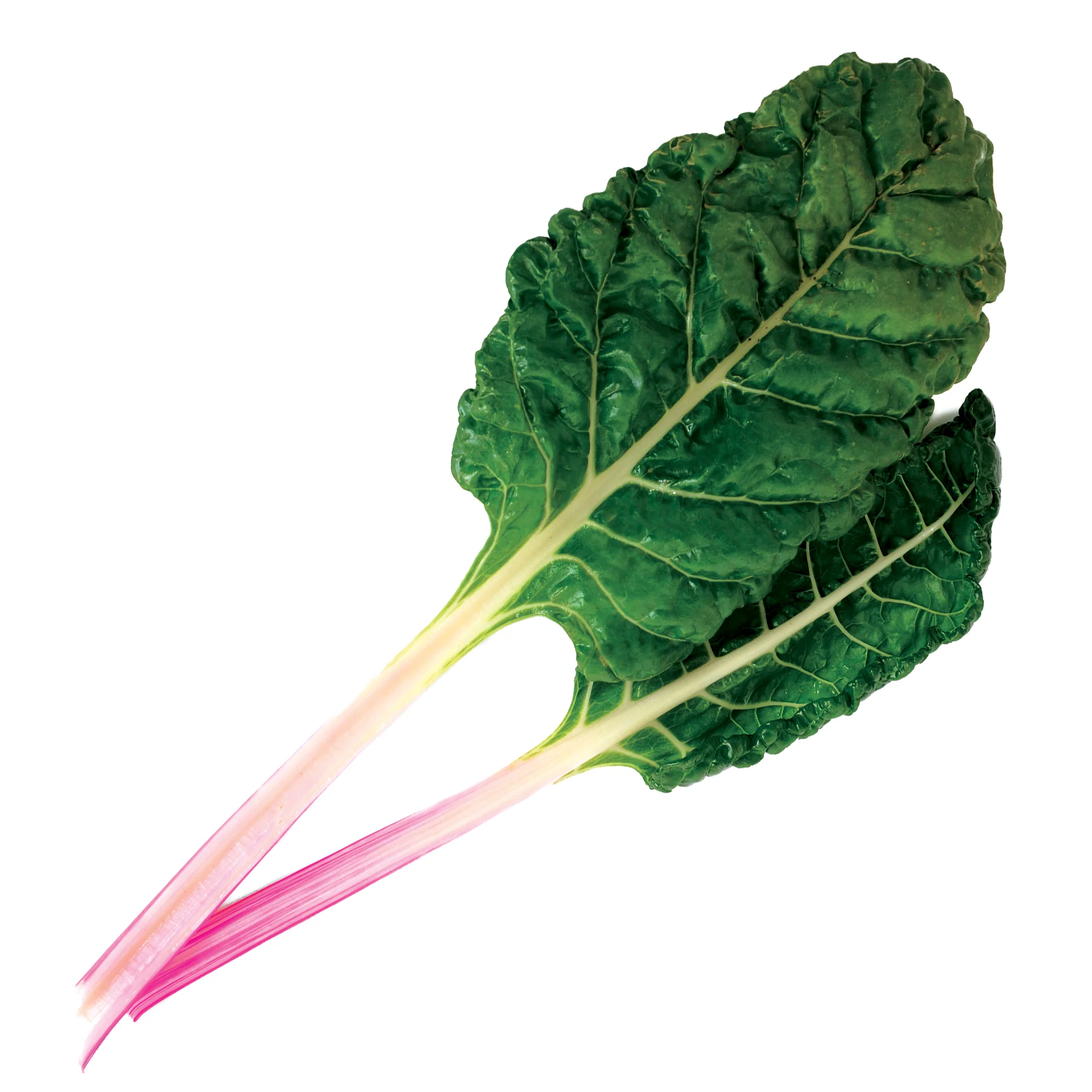 PEPPERMINT SWISS CHARD - Image 2