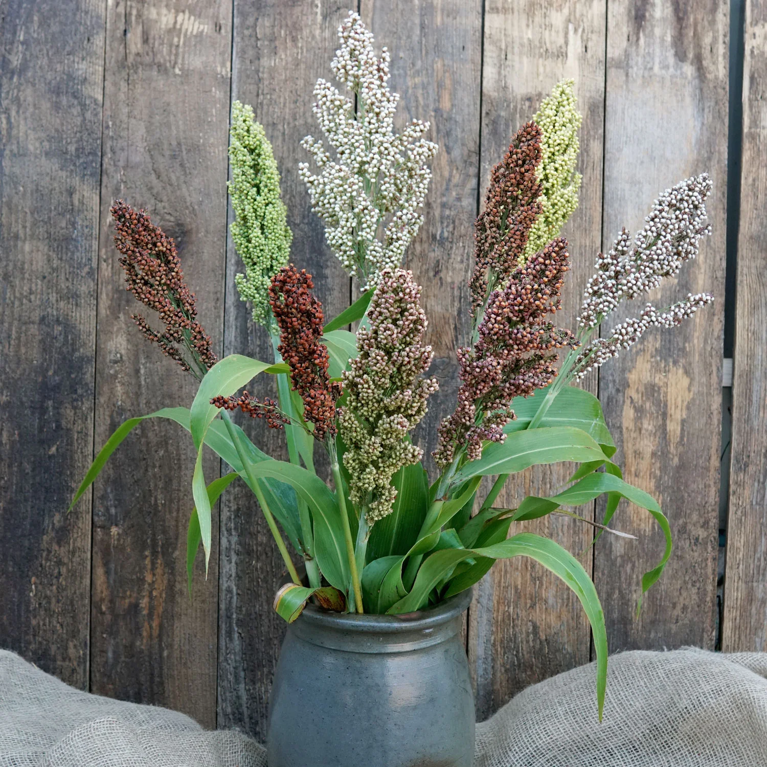 PRAIRIE PEARLS MIX - Image 10