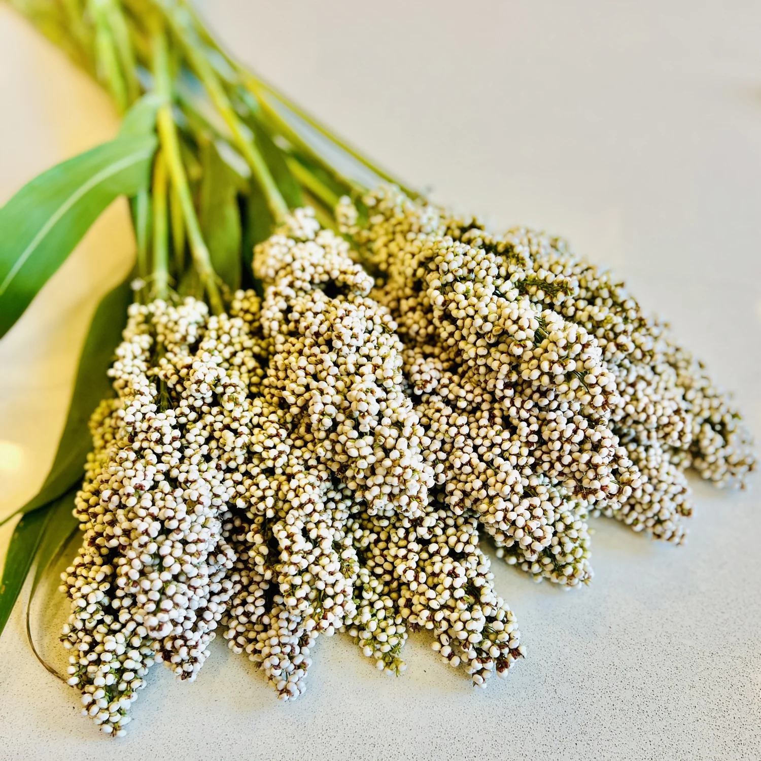 PRAIRIE PEARLS MIX - Image 9