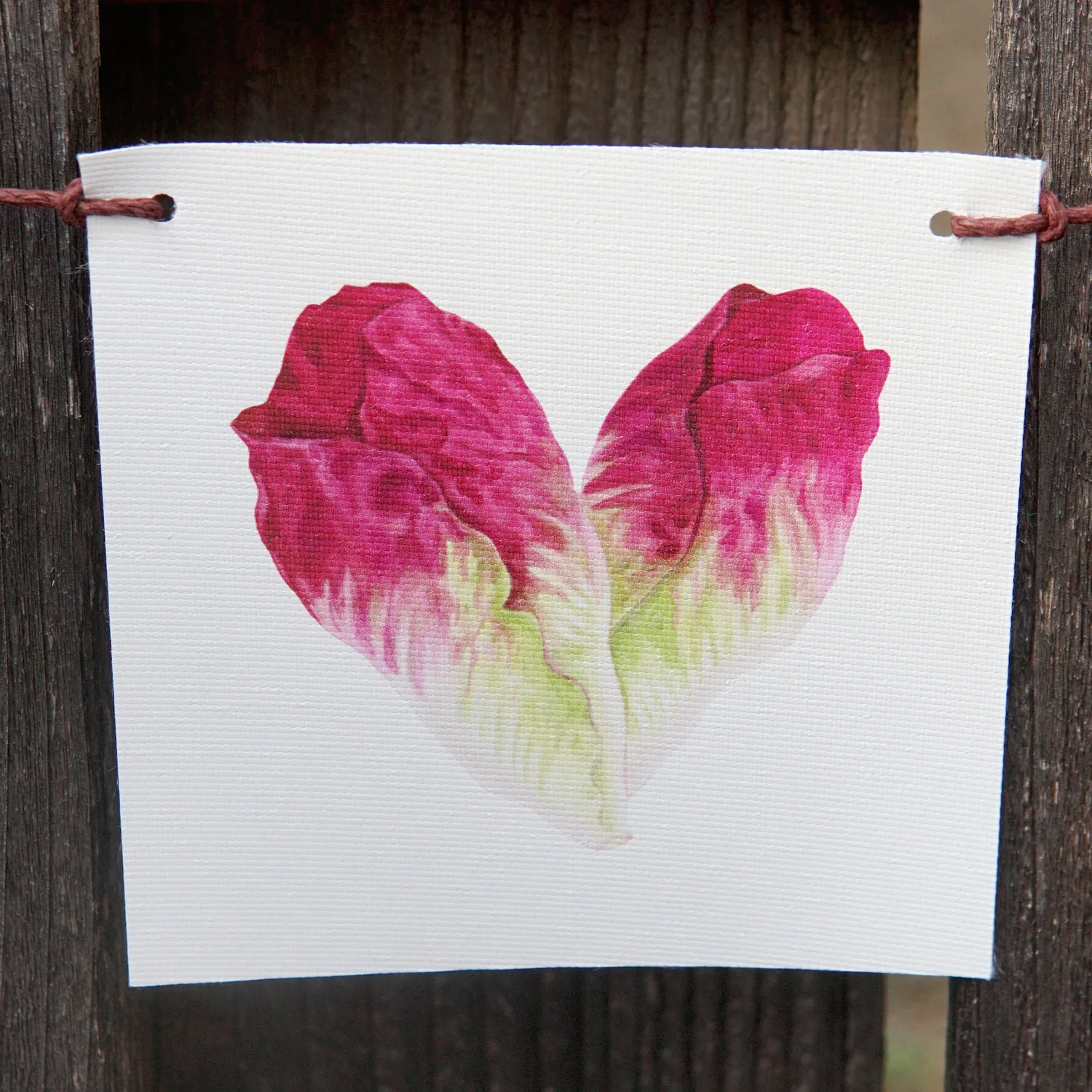 PRODUCE FLAGS - Image 4