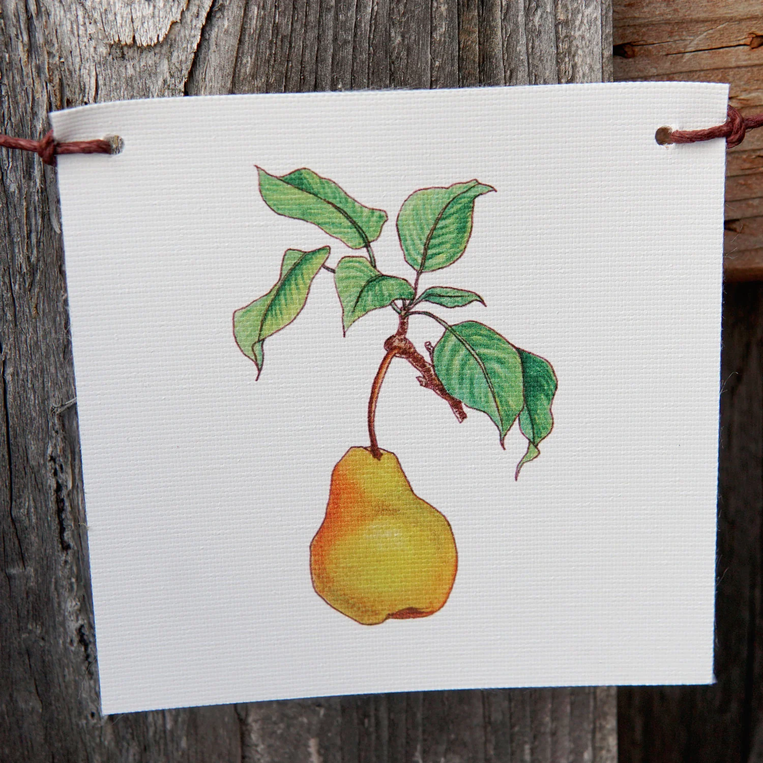 PRODUCE FLAGS - Image 6