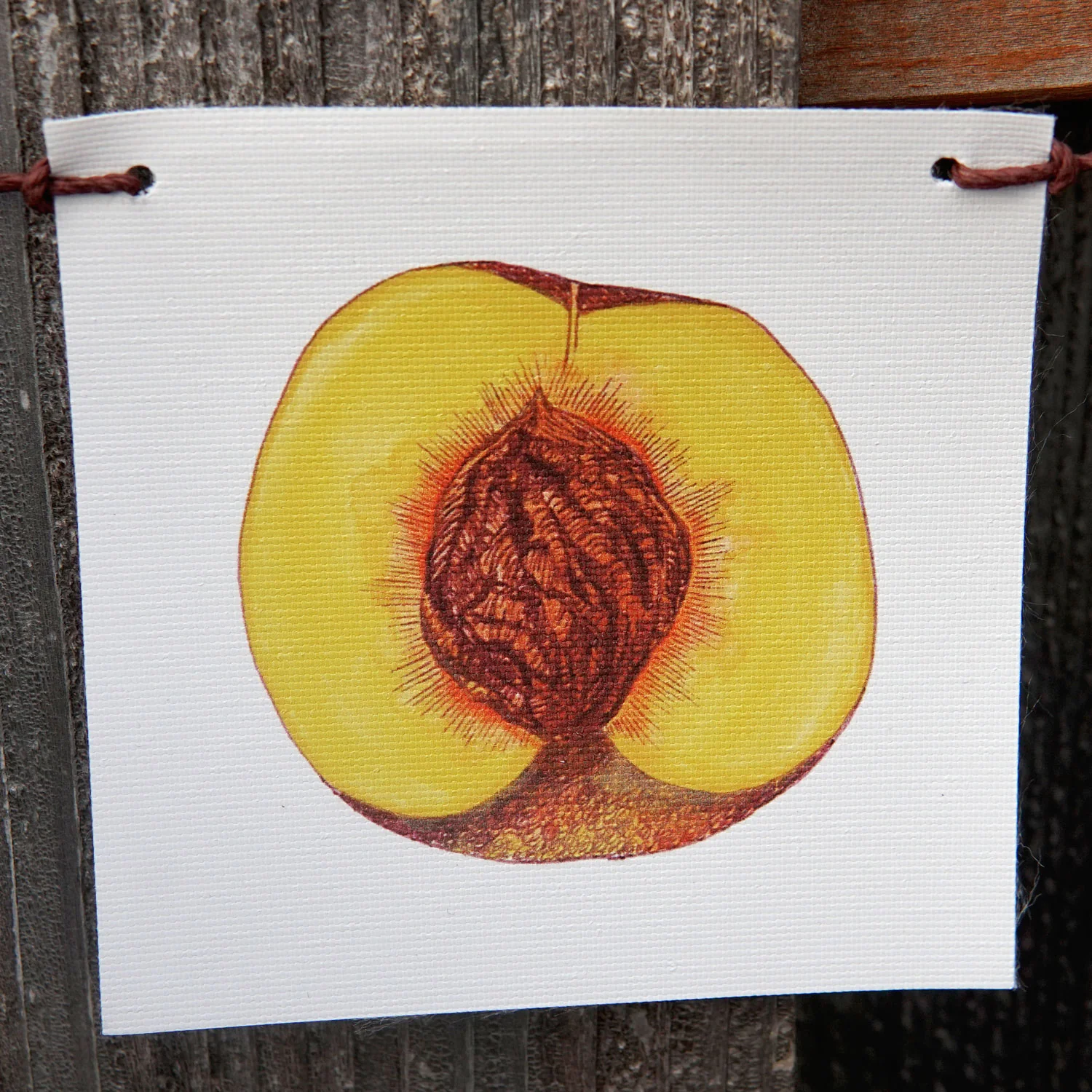 PRODUCE FLAGS - Image 8