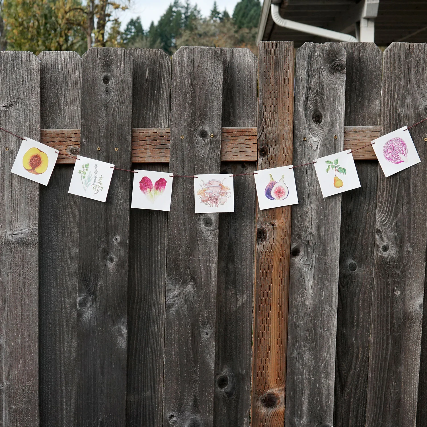 PRODUCE FLAGS - Image 9