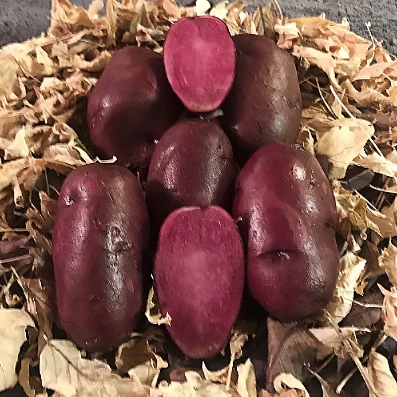 RASPBERRY POTATO - Image 3
