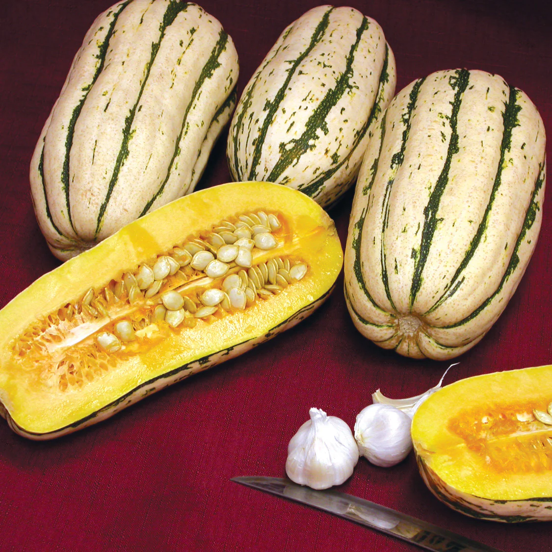 BUSH DELICATA - Image 2