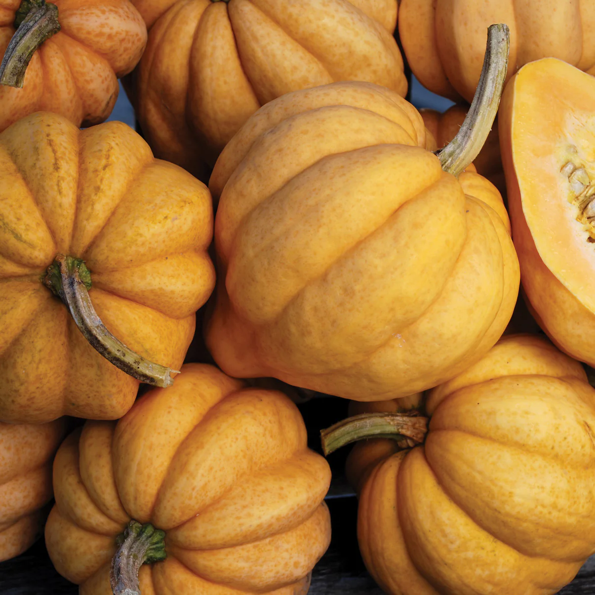 THELMA SANDERS' SWEET POTATO