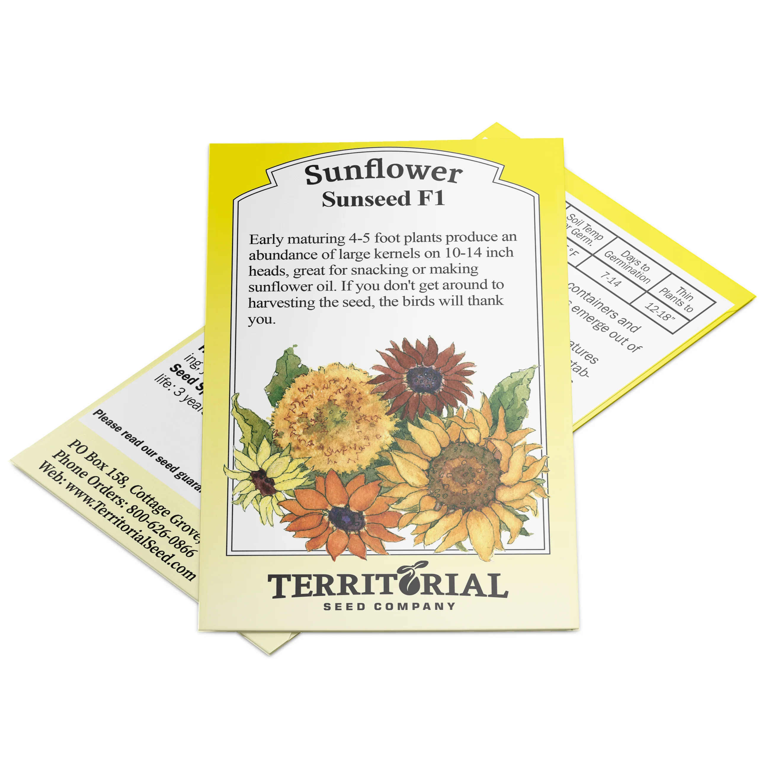 SUNSEED - Image 2
