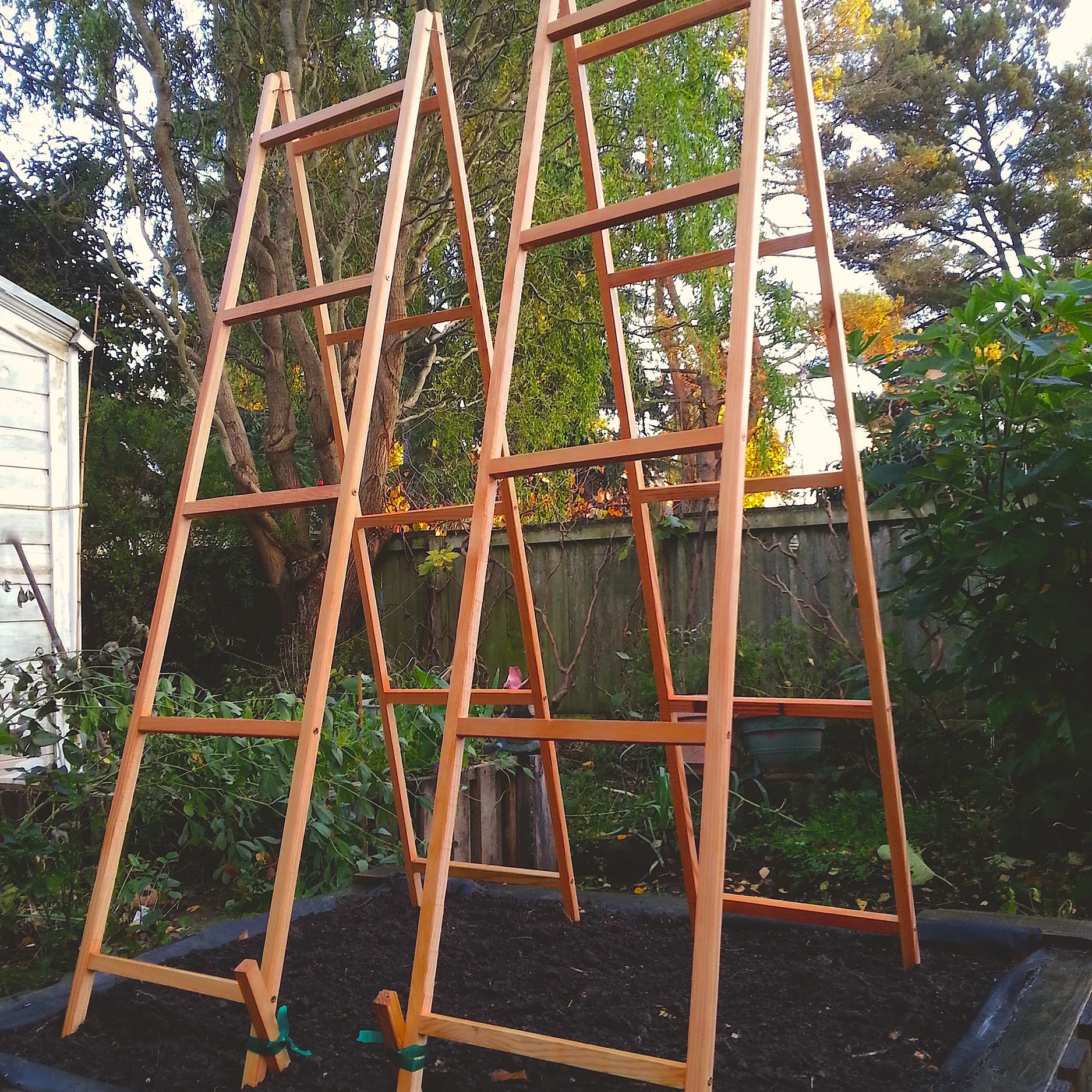 VEGETABLE TRELLISES
