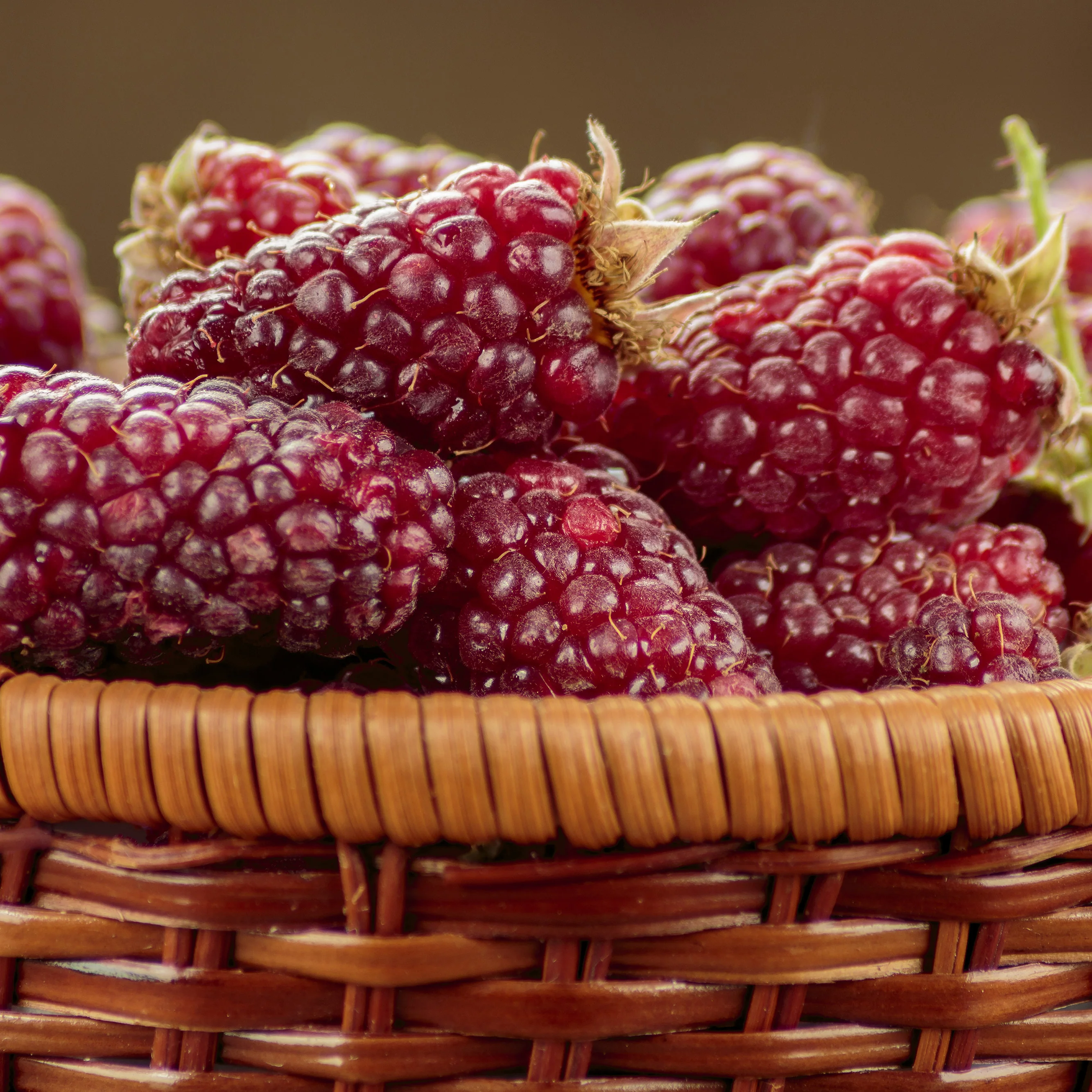 TAYBERRY