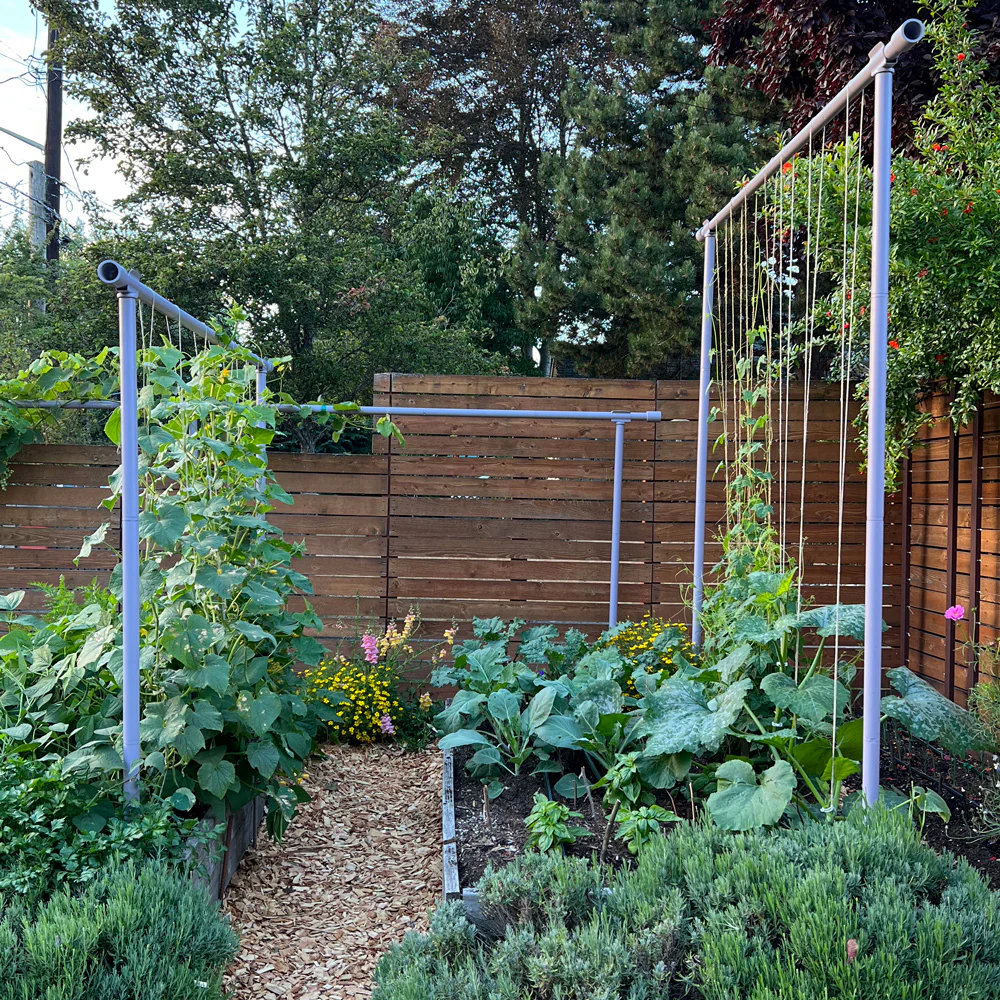 THE FREYR TRELLIS - Image 3