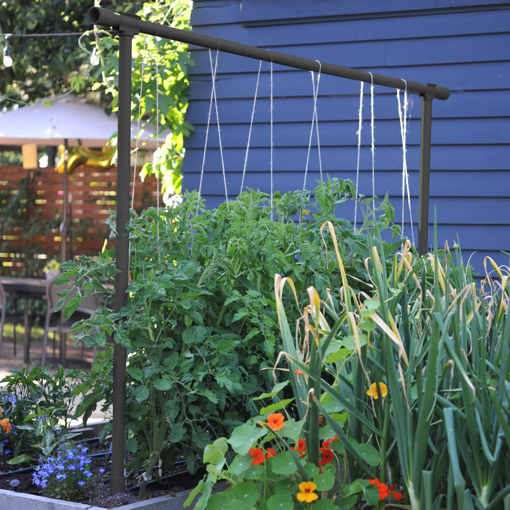 THE FREYR TRELLIS - Image 4