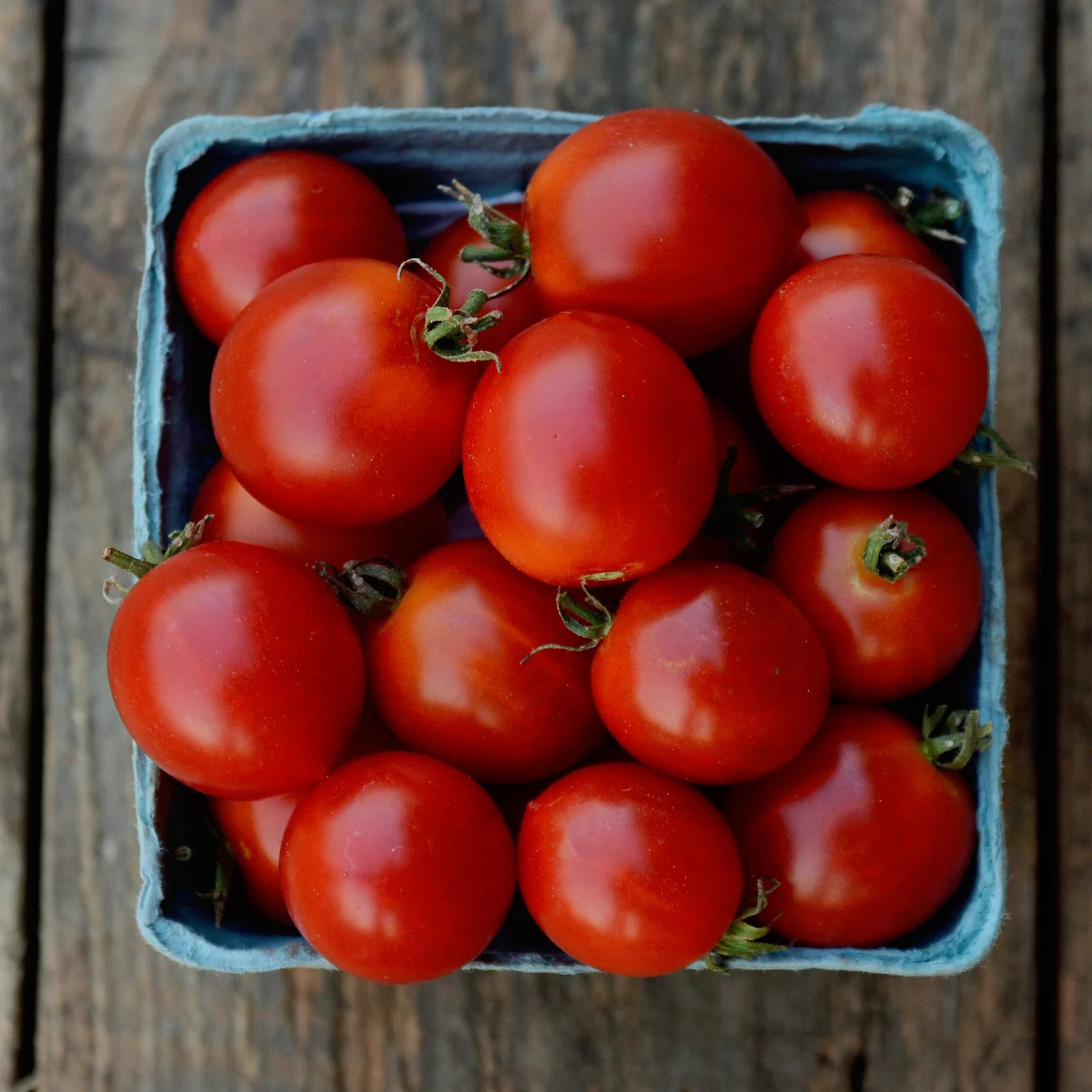 EARLY CHERRY