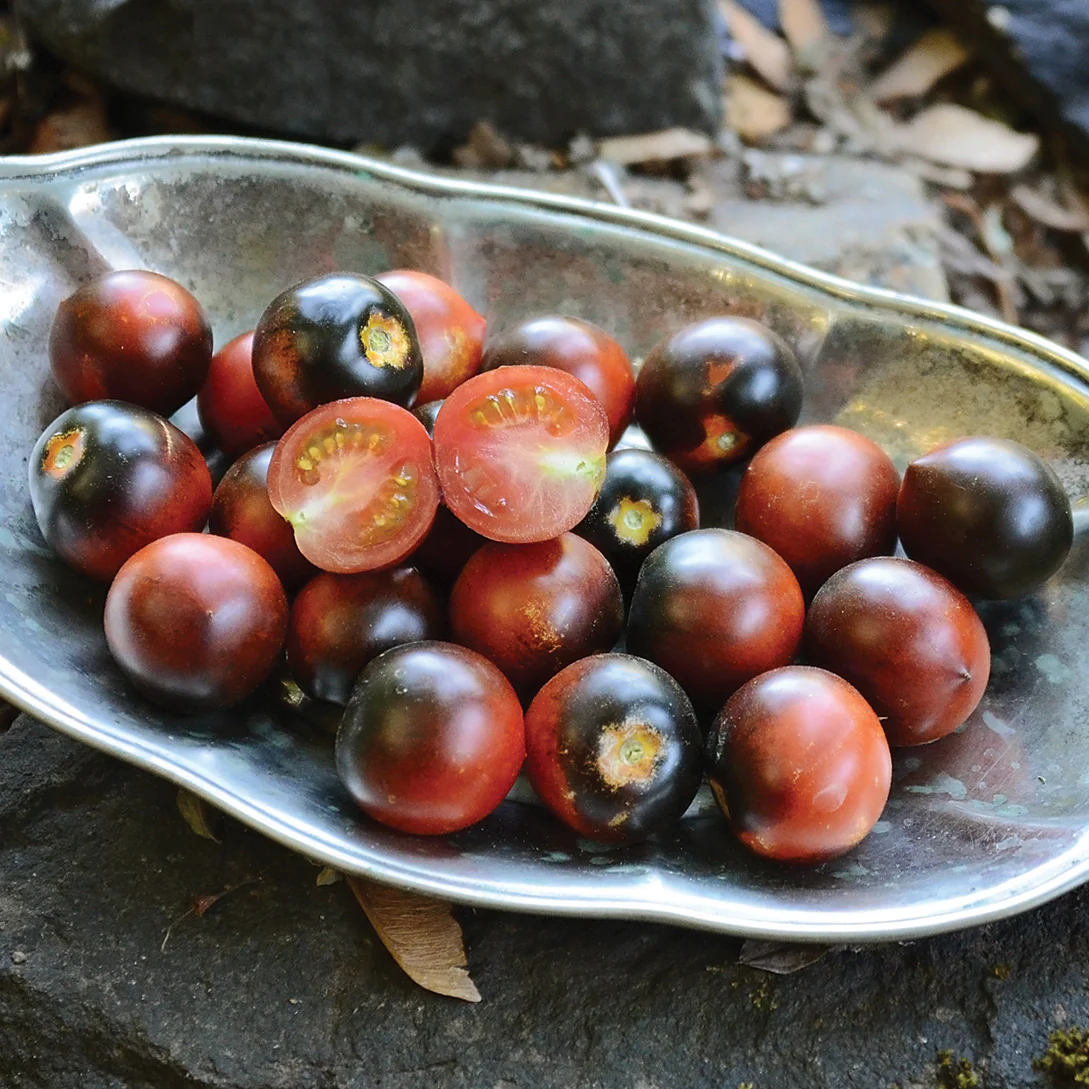 INDIGO™ CHERRY DROPS