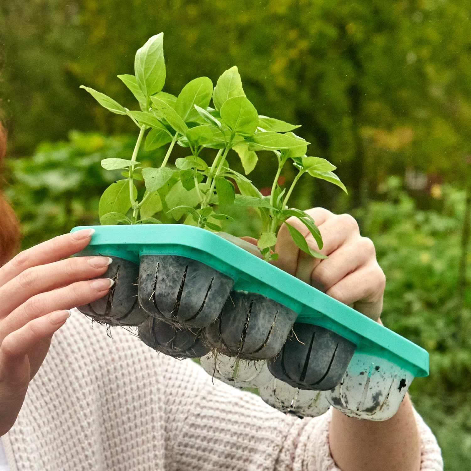 VIZIBLE™ PLANT TRAY - Image 5