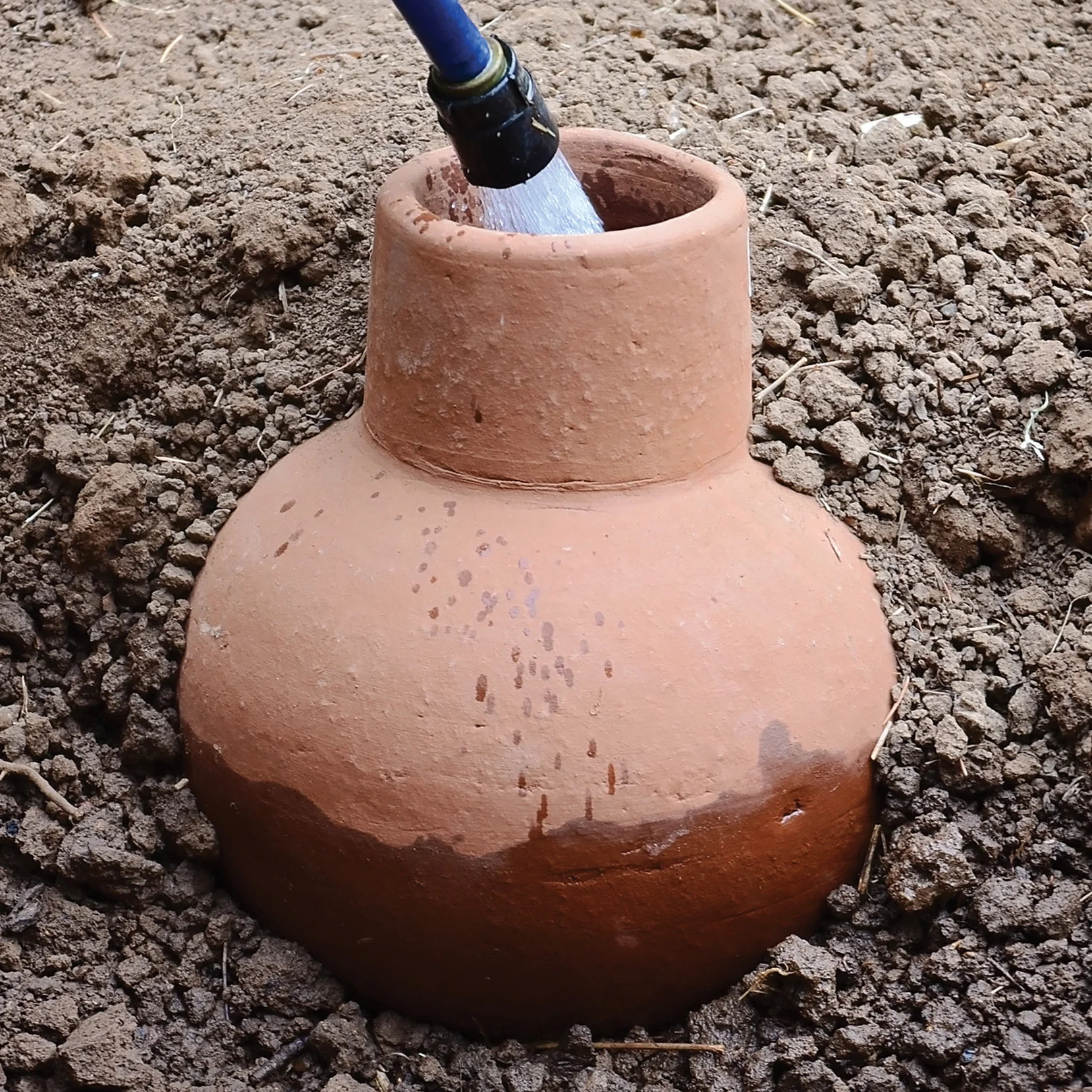 OLLA LARGE